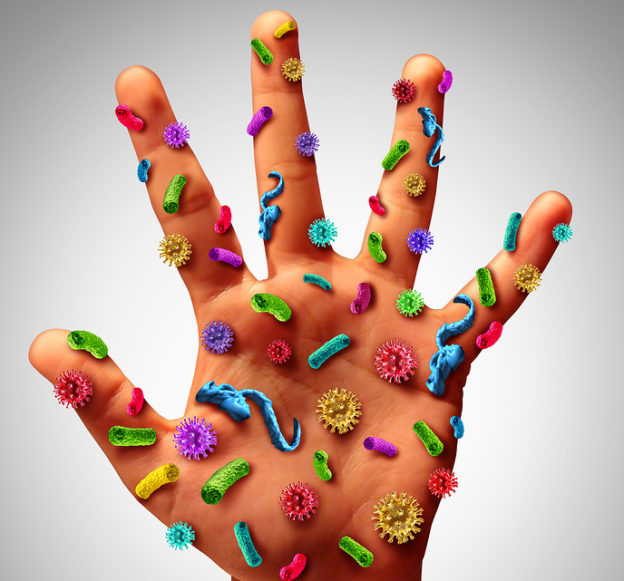 Can You Catch C. Diff From A Toilet Seat at Christina Dyck blog
